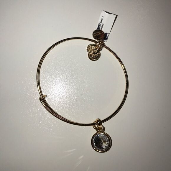 Alex and ani bracelet  - Picture 1 of 1